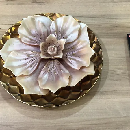 Apartment In Center *