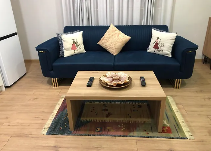 In Center アパート *